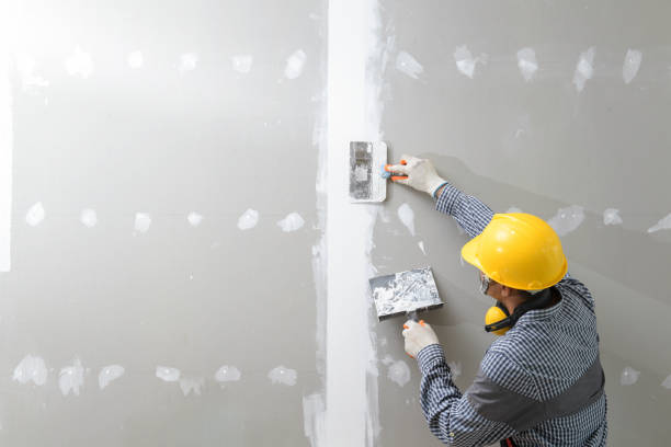 Best Drywall for New Construction  in Fort Meade, MD